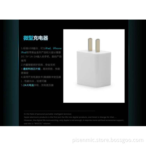 USB Charger Icharger 2A for iPad White
